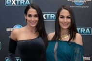 The glamorous twins of WWE